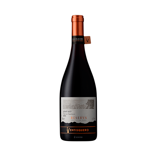 [10054401606] Vino Reserva Ventisquero (750ml, Tinto, Pinot Noir)