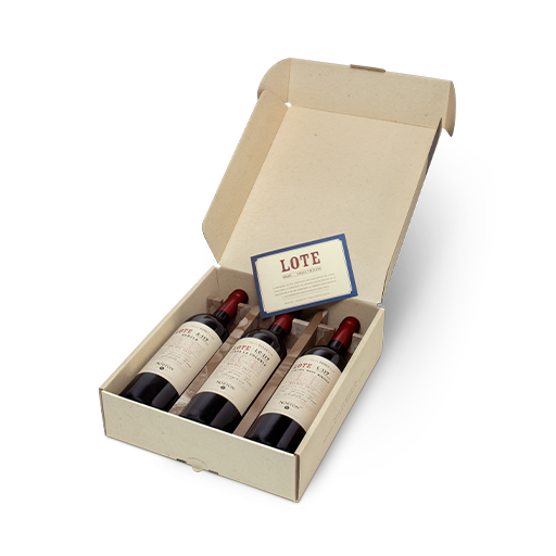 [10030003493] Vino Norton Tripack X Tinto 750ml