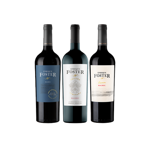 Vino Foster